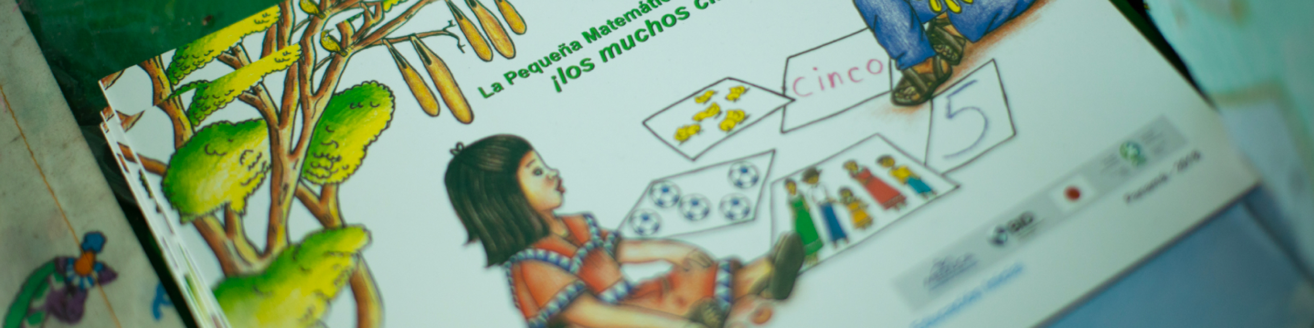 libro-de-texto-bilingüe-y-multicultural-7-BID