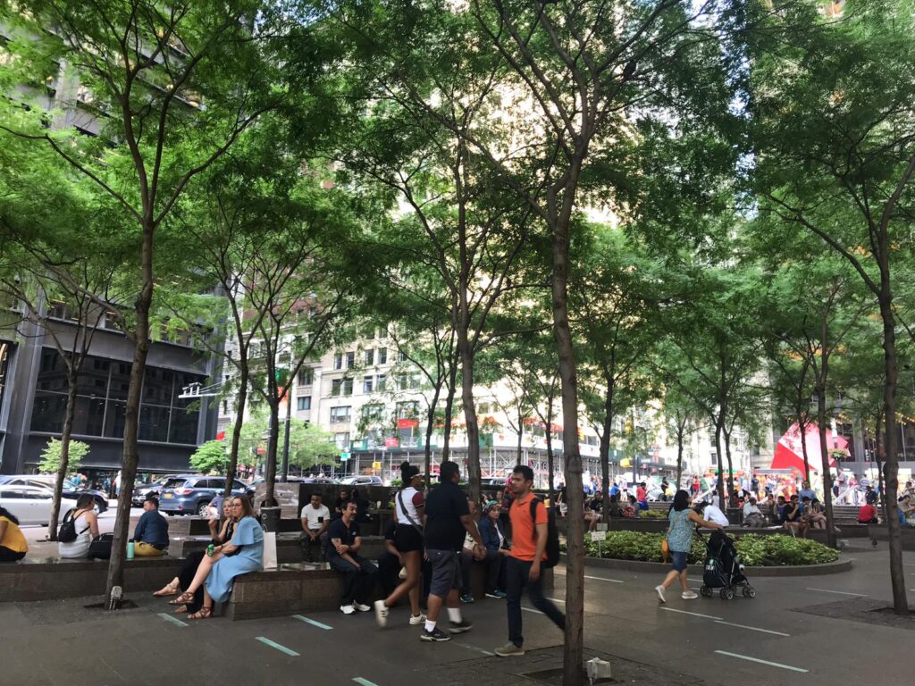 SOURCE: ZUCCOTTI PARK, NYC 2019. IDB PHOTO BY: ALESSANDRA RICHTER