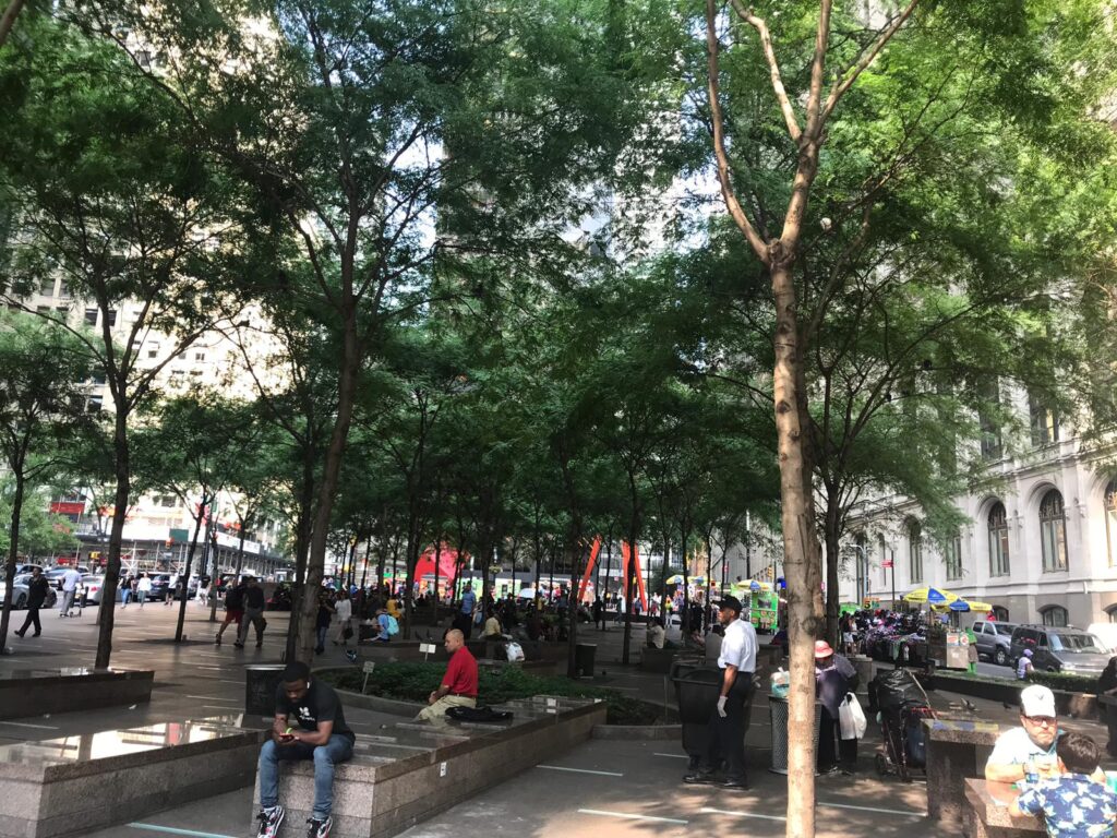 SOURCE: ZUCCOTTI PARK, NYC 2019. IDB PHOTO BY: ALESSANDRA RICHTER