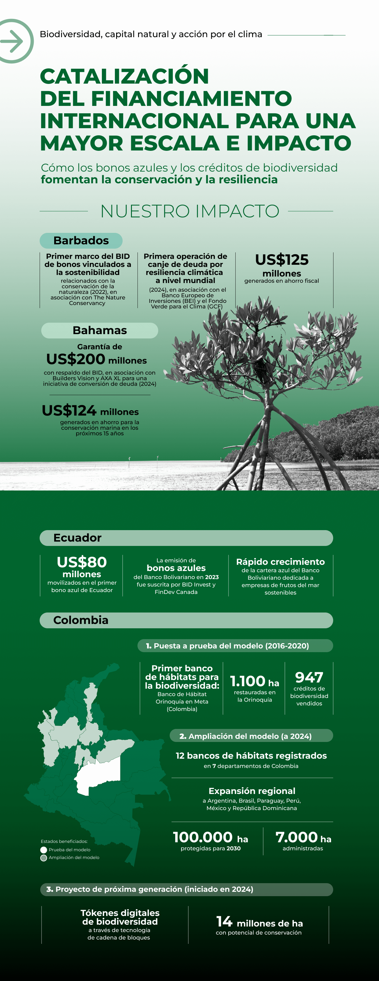 Catalizar el financiamiento