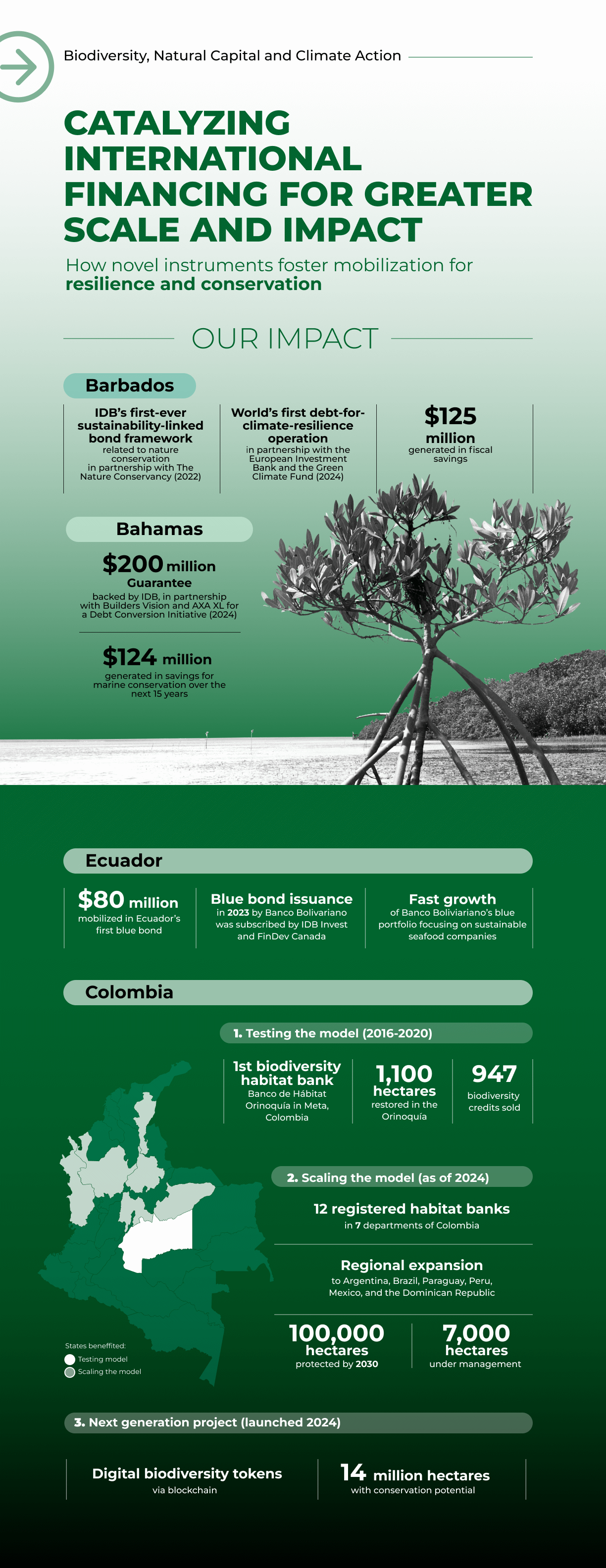Catalyzing International Financing for Greater Scale and Impact