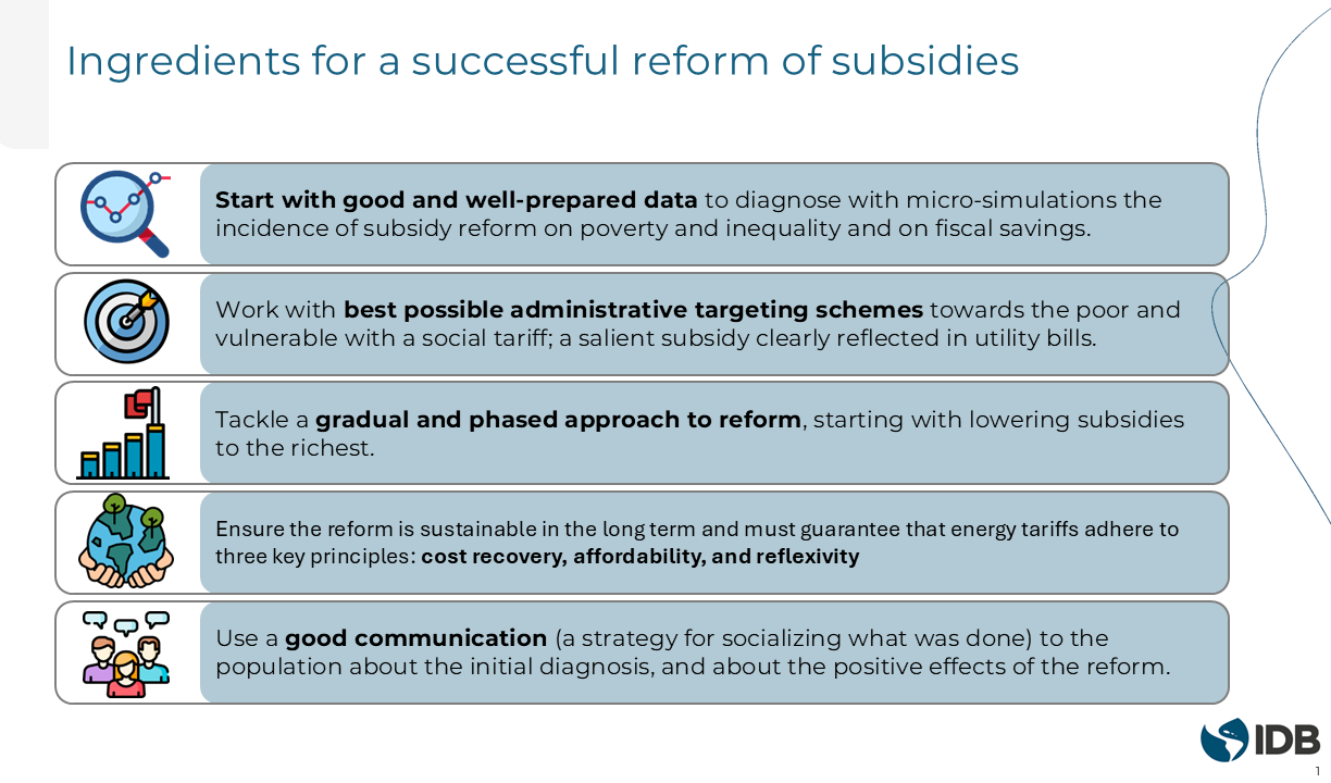 Ingredients for a successful reform of subsidies