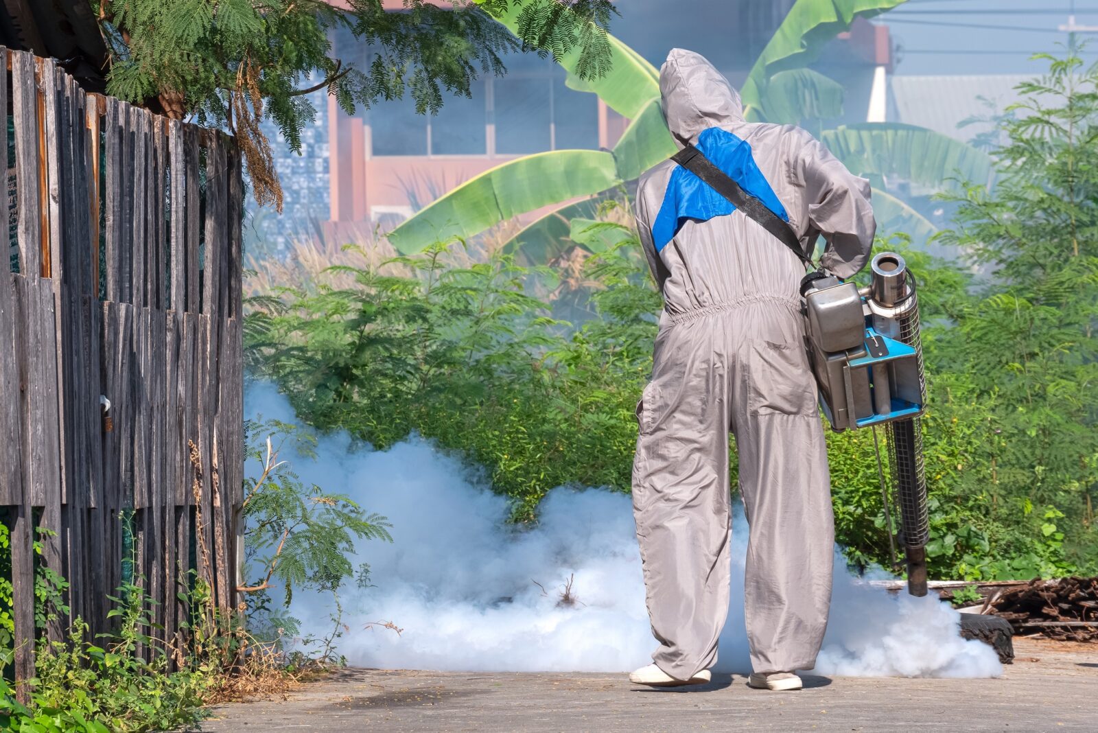 Rear view of healthcare worker spraying insecticidePersona con traje de seguridad esparciendo insecticida