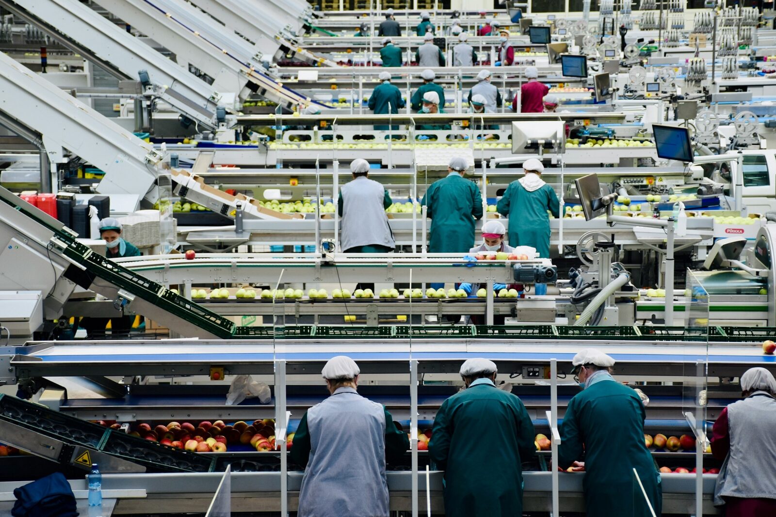 Worker on fruit packing facility. Supply chainPhotography by Arno Senoner on Unsplash