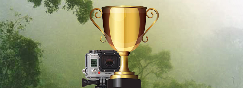 concurso_blog_winners