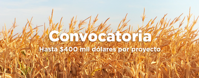 convocatoriacambioclimaticoFONTAGRO