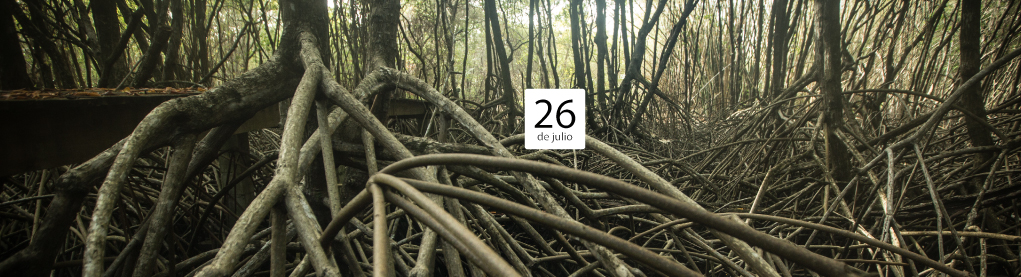 manglaresDAYblogpost