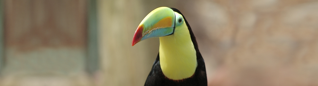 Foto de: Macnolete | Some rights reserved