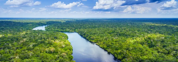 Aerial view of a tropical beachfront resort with red-roofed buildings and palm trees at sunset