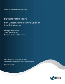 Cover for Beyond the mean - Research - Inter American Development Bank - IDB