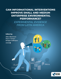 Cover for Can informational Interventions - Research - Inter American Development Bank - IDB