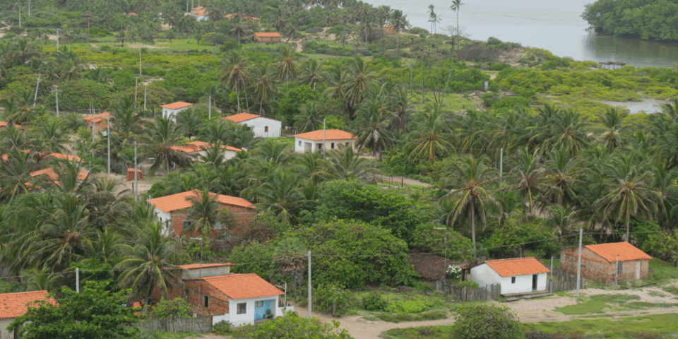 Houses and a forest with a river in the background - Inter American Development Bank - Amazon