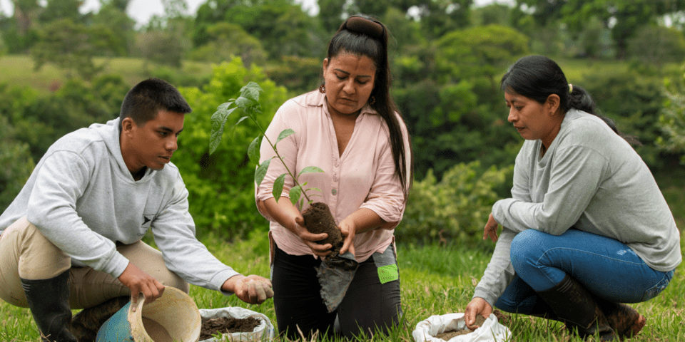 Indigenous people planting seedlings in a forest - Inter American Development Bank - Amazon