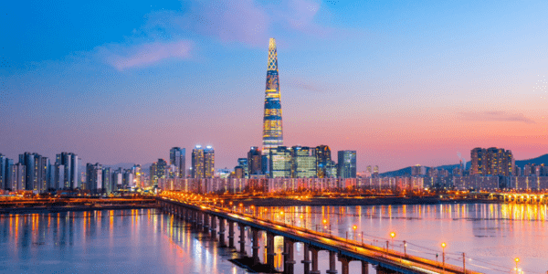 What makes South Korea a trailblazer in the digital transformation of the public sector?