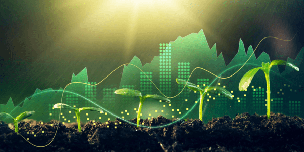 Avanços e oportunidades para uma política fiscal mais resiliente no Brasil