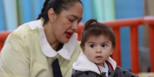 Without data, We Are in the Dark: Integrated Information Systems to Strengthen Early Childhood Policies