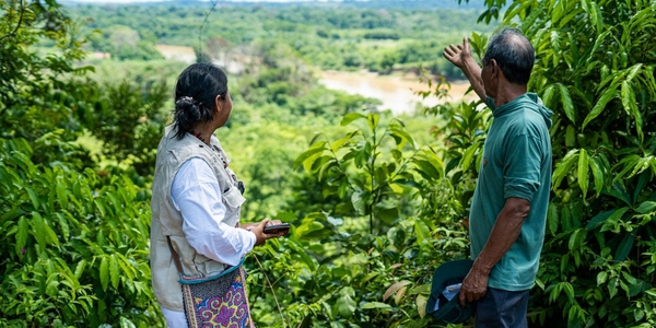 El renacer del bosque amazónico en Perú: un diálogo con la naturaleza