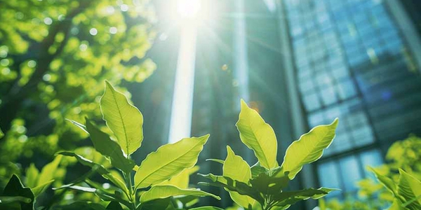 Trust for Nature: Why Conservation Trust Funds (CTFs) are key to a Thriving Planet