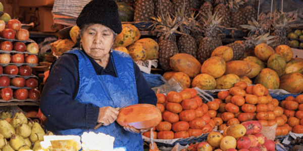 How to Understand Pension Systems and Social Security? The ABCs of Pensions in Latin America and the Caribbean 