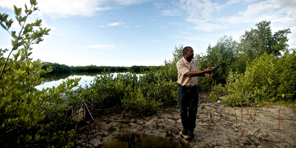 Revisión del Año 2025: impulsando las finanzas para la naturaleza en América Latina y el Caribe