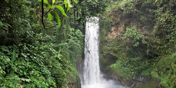 The Hidden Easing: Why Policy Stance Is More Accommodative Than It Appears  in Central America, Panama, and the Dominican Republic