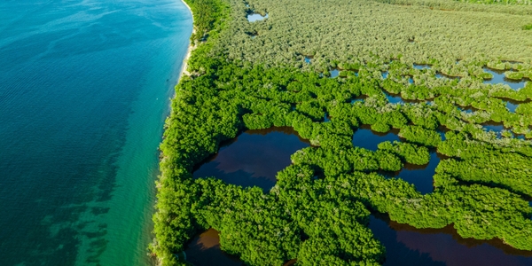 30x30: ¿Cuánto le costará a América Latina y el Caribe alcanzarlo?