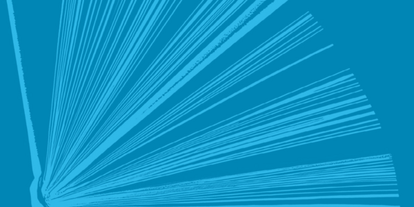Guide to Leverage Lessons Learned