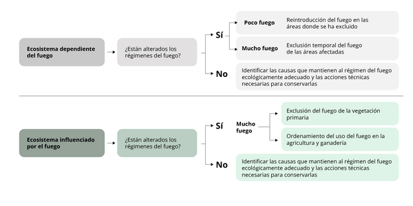 tabla de gestion de fuego
