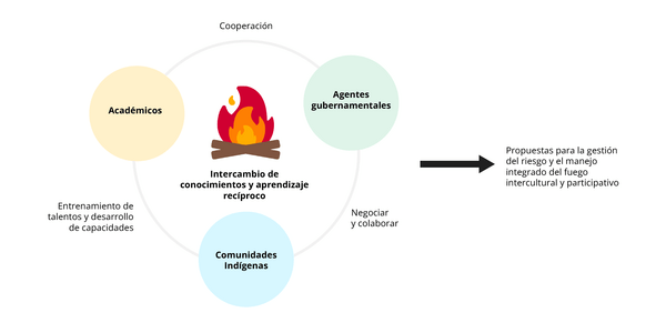colaboración del fuego