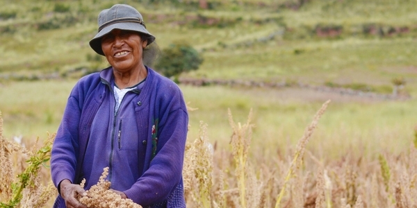 Año Internacional de la Mujer Agricultora:  ¿Quiénes sostienen los sistemas agroalimentarios en América Latina y el Caribe?