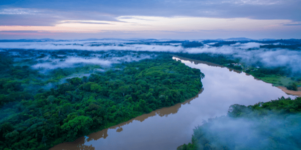 Como as regiões de fronteira da Amazônia podem impulsionar o crescimento sustentável  