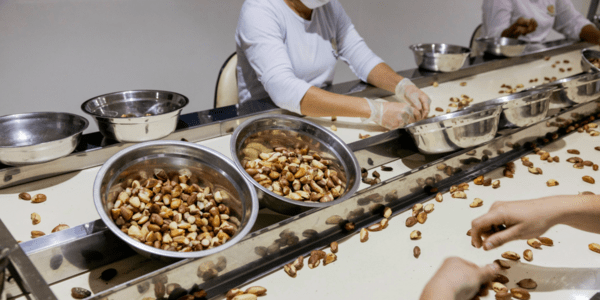 Logística, crédito y políticas son las principales barreras para las empresas agroalimentarias en América Latina y el Caribe