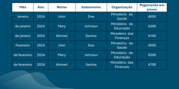 Tabela 1. Variáveis principais nos registros da folha de pagamento 