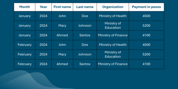Unlocking_the_Power_of_Public_Payroll_Analytics_for_Better_Government_4