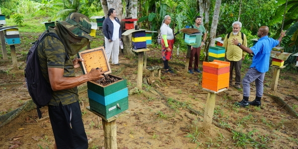 Bio-Economic activities in Surinam