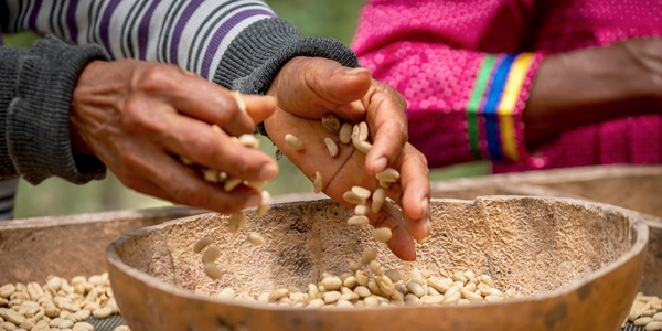 From Science to Opportunity: The Path to Amazonia’s Bioeconomy