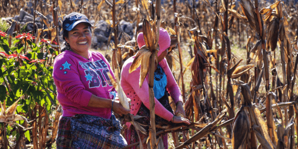 Women Produce Food, Yet Face Higher Food Insecurity: A Paradox in Latin America and the Caribbean