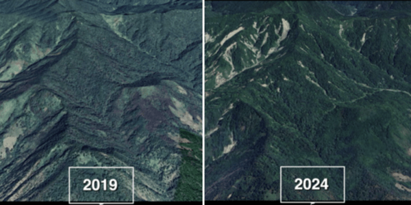 The satellite comparison shows a greater presence of landslides in deforested areas compared with better-conserved sub-watersheds