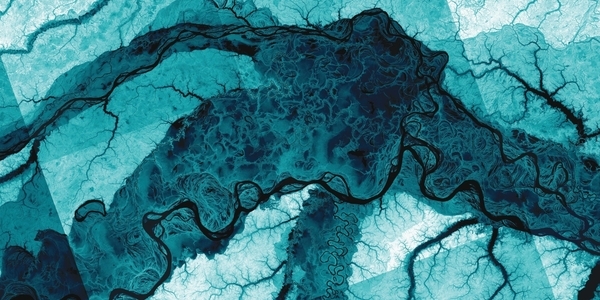 Confluence of the Japurá and Amazon rivers. Image reproduced by Copernicus through Orbital Earth observation systems