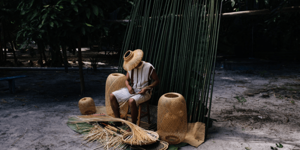 Traditional Amazonia