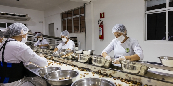 Programa Desenvolvimento Sustentavel do Acre