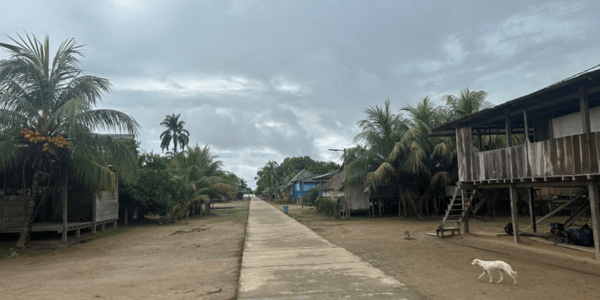 Puerto Miguel Amazonia, Peru
