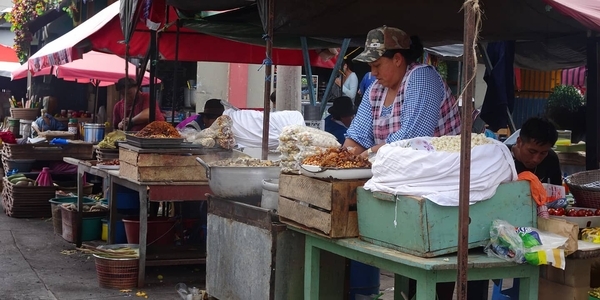 IDB Tool Helps Measure Environmental Shocks and Inflation Dynamics in Ecuador and Beyond 