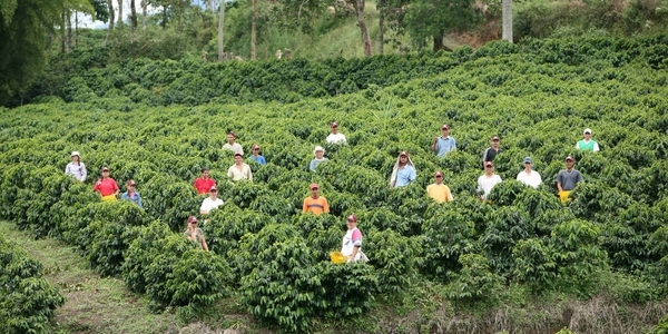 World Agriculture Day: How and How Much Do Countries in the Region Support the Agricultural Sector?