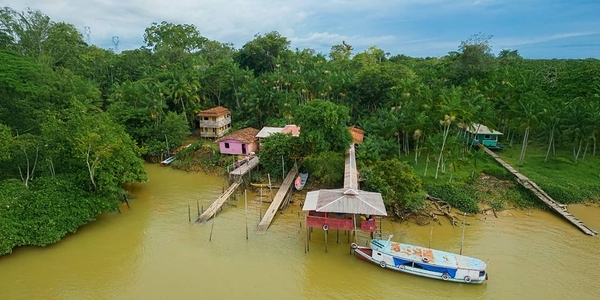 When Market Power Meets the Rainforest