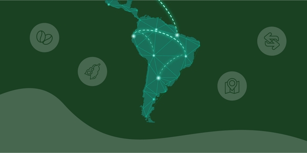 The Impact of Voluntary Sustainability Standards on Agricultural Exports: Friends or Foes?