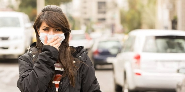 How Air Pollution Affects High- and Low-Income Workers Differently