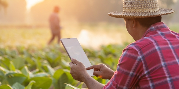 Five Lessons from Enabling the Green Start-Up Ecosystem in LAC