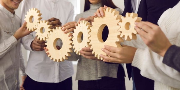 Resposta integral para problemas complexos: como a transversalidade contribui para políticas públicas mais efetivas?