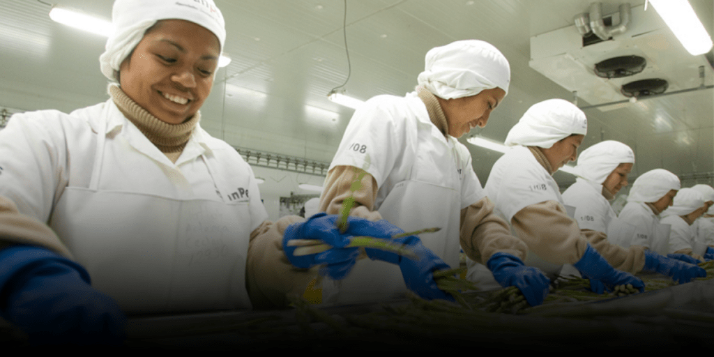 Liberar el potencial de Perú para la exportación de productos agrícolas